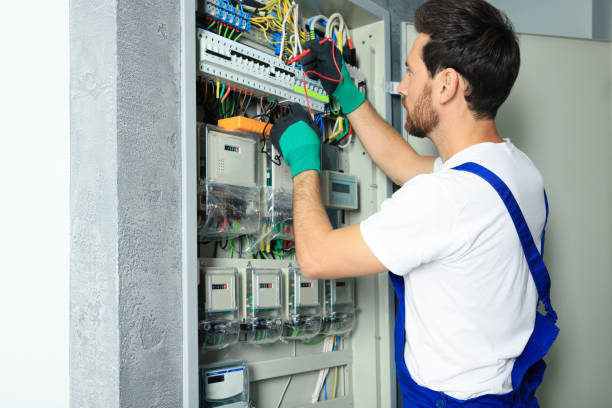 Best Electric Panel Repair  in Green Forest, AR